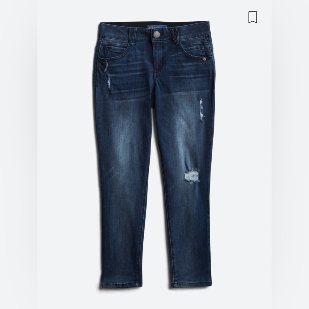 Jeri Ab Solution Skinny Distressed Jean, size 14
